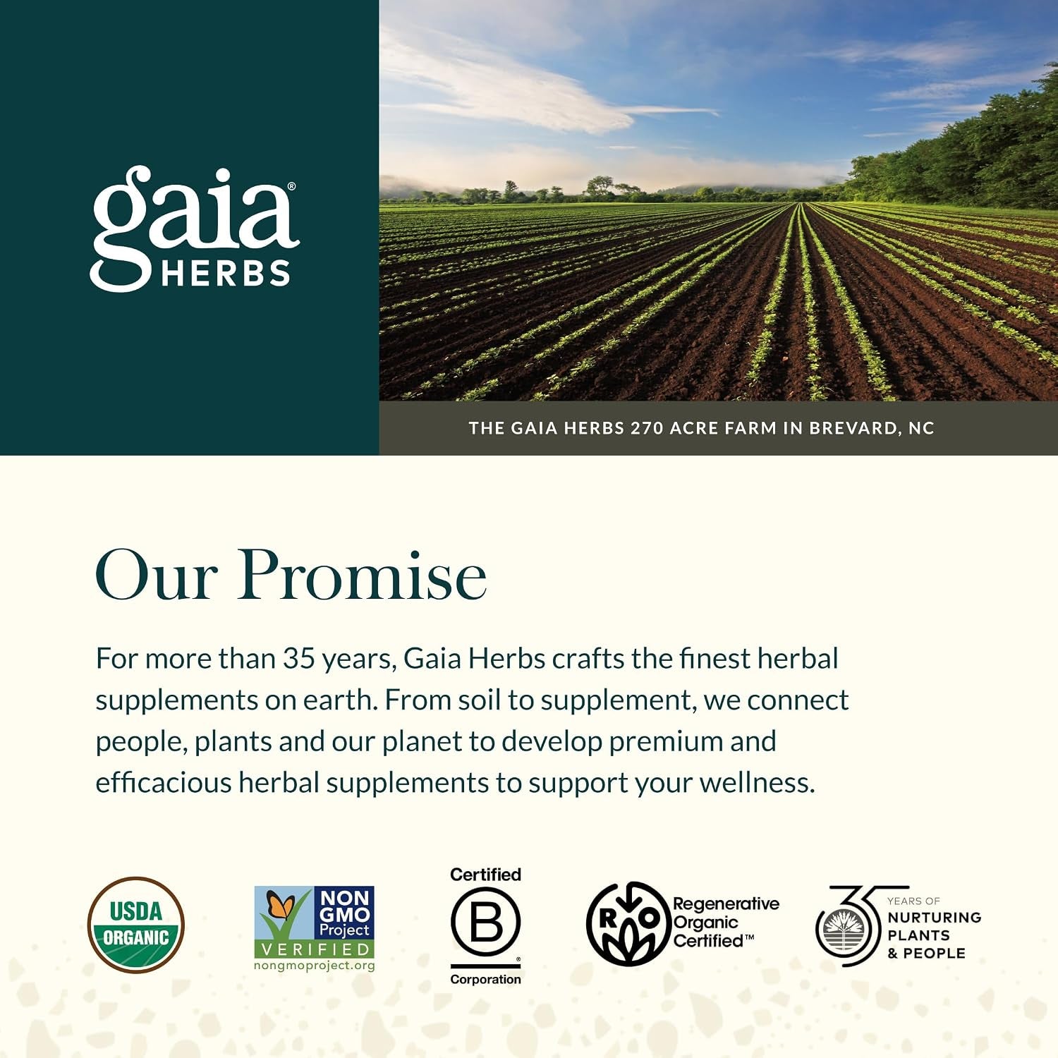 Gaia Herbs Prostate Health - Supports Prostate Health and Function for Men - with Saw Palmetto, Green Tea, Nettle Root, and White Sage* - 120 Vegan Liquid Phyto-Caps (60 Servings)