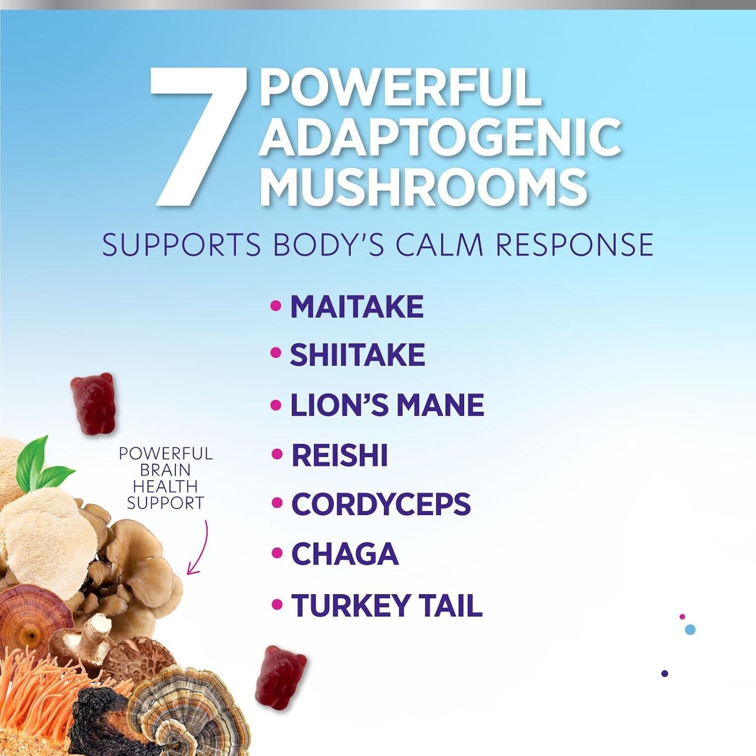 Mushroom Gummies Supplement 12 in 1 - High Grade Blend for Adults with Lions Mane, Reishi, Cordyceps, & Chaga Mushroom Complex Gummy, Memory & Immune Support & Nootropic Brain Supplements - 60 Gummies