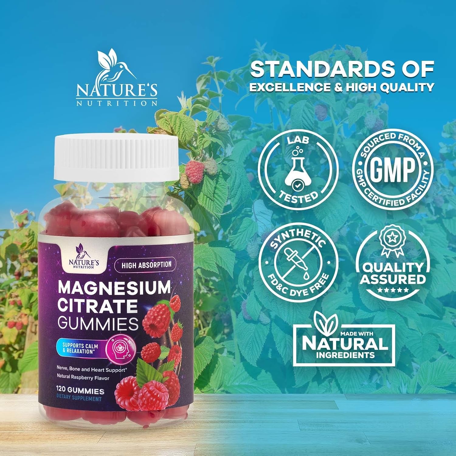 Magnesium Citrate Gummies - High Absorption Magnesium Citrate Gummy Supplement - Natural Bone, Nerve, Muscle, Calm, & Relaxation Support for Adults - Raspberry Flavor, Gluten Free, Vegan - 120 Gummies