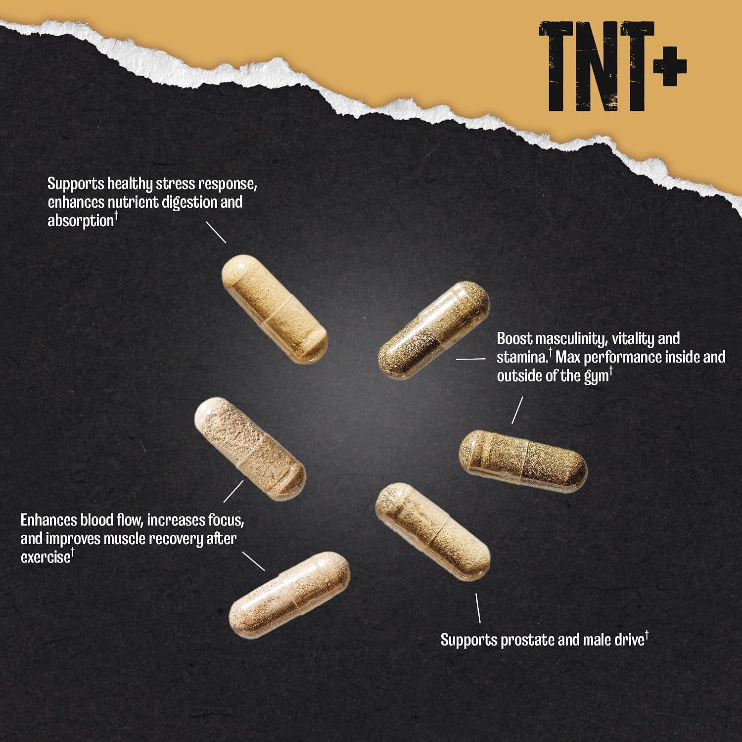 Animal TNT+ Men'S Whole-Body Wellness Pack - Nitric Oxide, Prostate Support, Adaptogen Stress Relief & Vitality for Men 35+, Fenugreek Tribulus Ashwagandha Maca Ginseng, 30 Packs